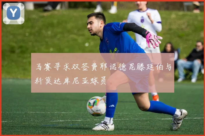 马赛寻求双签费耶诺德昆滕廷伯与科莫达库尼亚球员